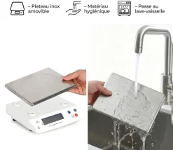 Balance électronique professionnelle Portée 12 kg précision 1 g Tellier