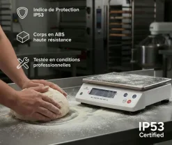 Balance électronique professionnelle Portée 12 kg précision 1 g Tellier