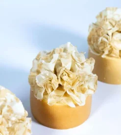 Blanc d'œuf déshydraté Gallia 1 kg Louis François