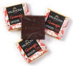 Carrés chocolat Guanaja Instant café par Valrhona 40 napolitains Valrhona