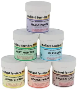 Colorant alimentaire en poudre cassis 20 g Mallard Ferrière