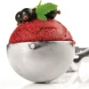 Cuillère à glace portionneuse 10 parts au litre Hendi