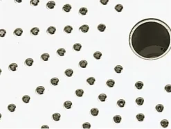 Disque parmesan Robot-Coupe
