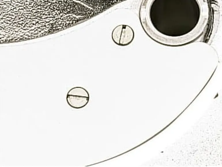 Disques frites 10 x 16 mm Robot-Coupe