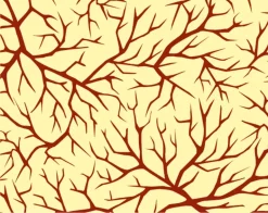 Feuille transfert chocolat branches d'arbres Lot de 5 feuilles Pavoni