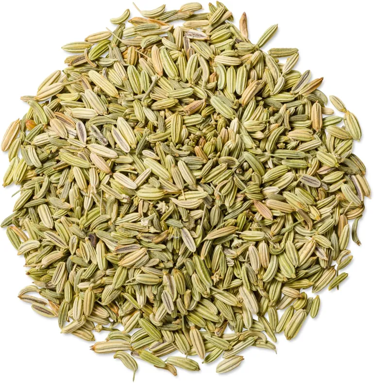 Graines de fenouil 35 g Mélodie Gourmande