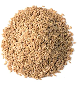 Graines de lin doré Ingredissimo