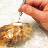 Joint adhésif blanc pour sonde spéciale sous-vide Matfer
