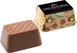 Lingots Gianduja 15 pièces Valrhona