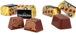 Lingots Gianduja 15 pièces Valrhona
