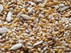 Mélange 5 graines Sésame, lin, tournesol 1 kg Ingredissimo