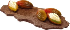 Moule Chocolat 24 cabosses