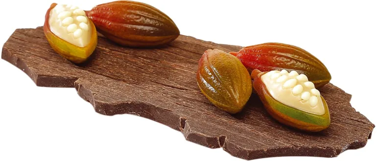 Moule Chocolat 24 cabosses