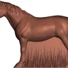 Moule chocolat Cheval