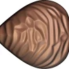 Moule chocolat 15 coquillages