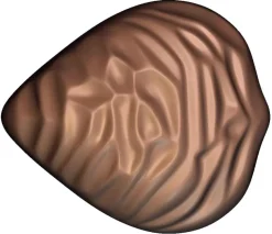 Moule chocolat 15 coquillages
