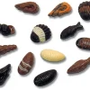 Moule chocolat coquillages et crustacés