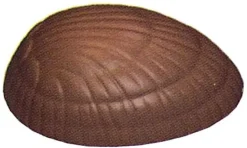 Moule chocolat 35 coquilles