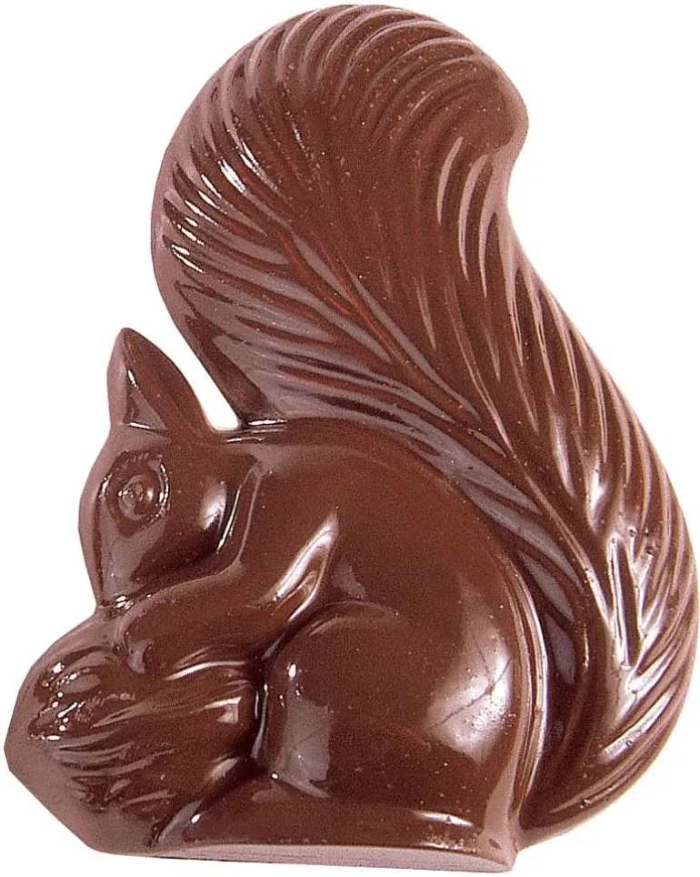 Moule chocolat écureuil