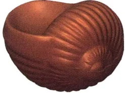 Moule chocolat escargot