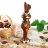 Moule chocolat Lapin Bunny