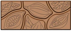 Moule chocolat 6 tablettes cabosse
