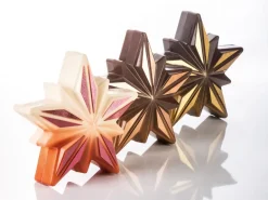 Moule chocolat étoile Polaris Pavoni