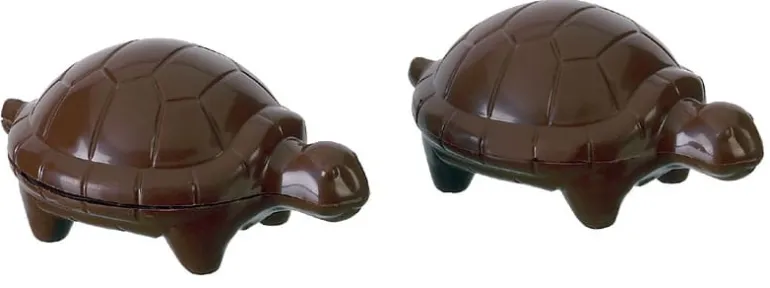 Moule chocolat tortue