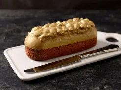 Moule silicone cake gâteau de voyage Silikomart
