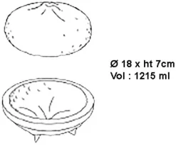 Moule silicone Citron format gâteau Par Cedric Grolet Pavoni