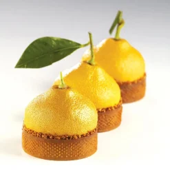 Moule silicone Citron format tartelette Par Cedric Grolet Pavoni