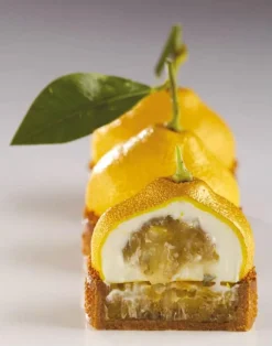 Moule silicone Citron format tartelette Par Cedric Grolet Pavoni