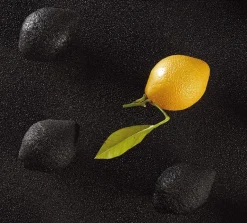 Moule silicone 3D Citron Cedric Grolet 30 x 17,5 cm Pavoni