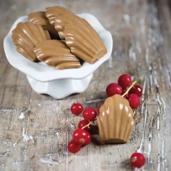 Moule silicone 9 madeleines 30 x 17,5 cm Silikomart
