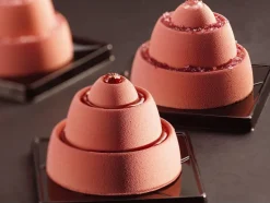 Moule silicone Pavoflex 24 moules anneaux 60 x 40 cm Pavoni