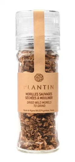 Moulin de morilles séchées Plantin
