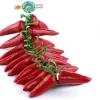 Piments d'Espelette frais en corde Larre