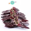 Piments d'Espelette séchés en corde Larre