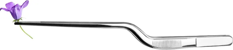 Pince à dresser 16 cm Ibili