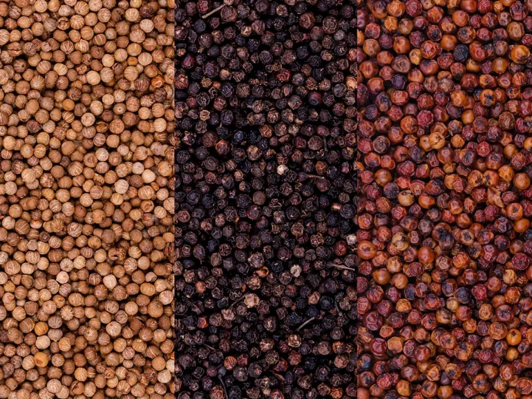 Poivre de Kampot Noir IGP Bio 55 g Max Daumin