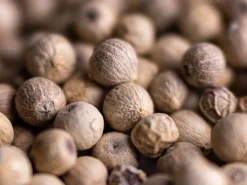 Poivre de Yupanqui blanc 55 g Max Daumin