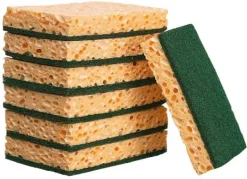 Éponge à récurer (x 10) Spontex Professionnel