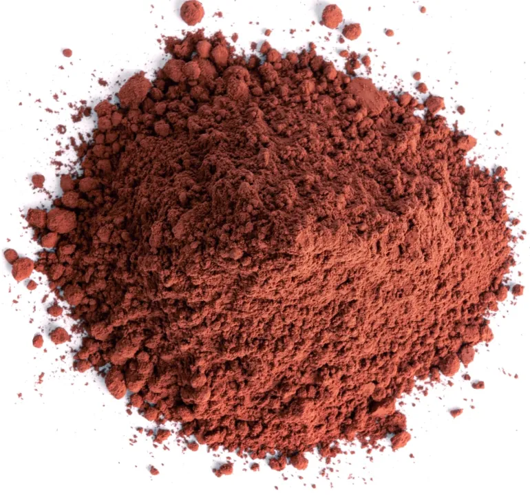 Poudre de cacao non sucrée 100% 500 g Valrhona