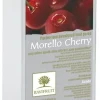 Purée de griotte 1 kg Ravifruit