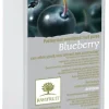 Purée de myrtille 1 kg Ravifruit